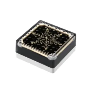 SBL 系列 100×100×47mm IP67/IP68 IK10 太阳能 LED 砖灯，适用于广场、景区与道路照明