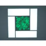 600×600×120mm Color-Tunable LED Healthcare Ambient Light-Application-2